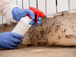 Best Mold Damage Restoration  in Lowry Crossing, TX